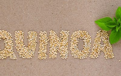 Quinoa and Beans: The Superfood Power Couple