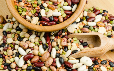 More Fun Bean Facts for National Bean Day