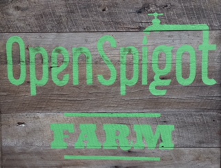 Open Spigot Farm Fall and Winter Update