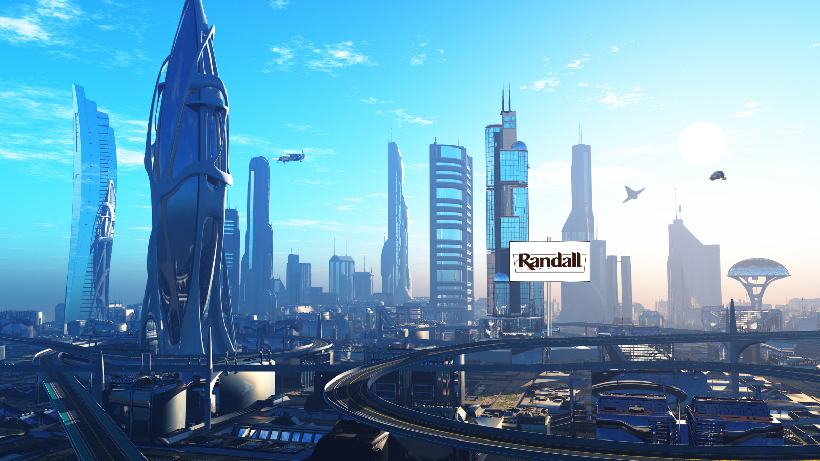 Beans Are A Pathway To A Sustainable Future